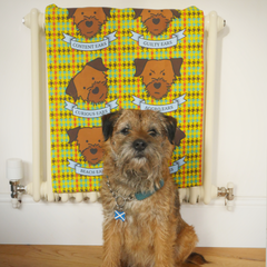 Terrier Organic Tea Towels